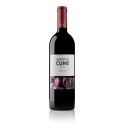 Quinta do Cume Reserva 2015Vin rouge