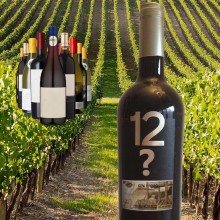 Les suggestions de Marta|Vins Portugal 