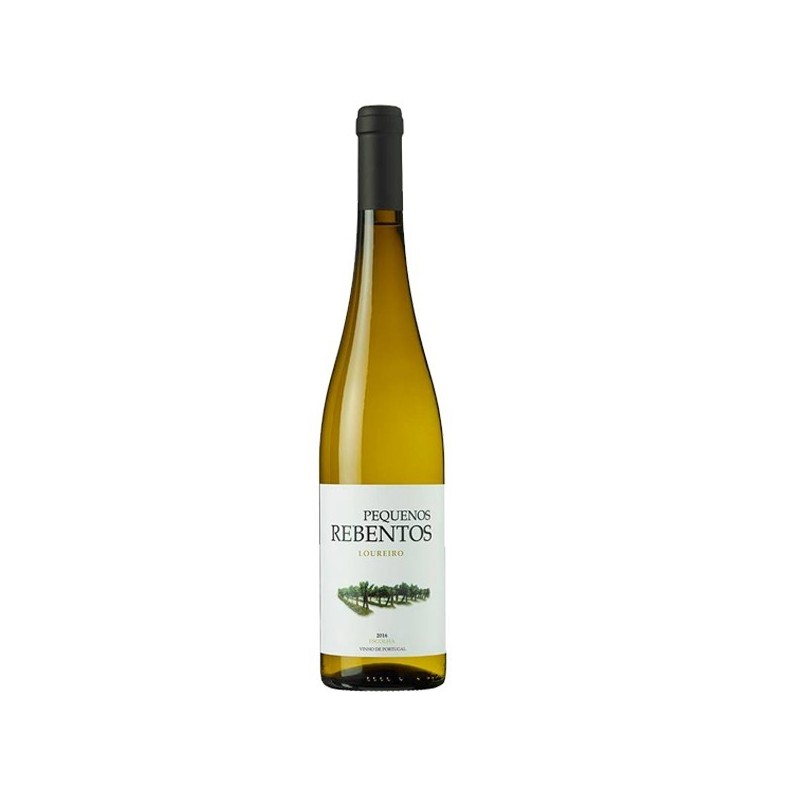 Pequenos Rebentos Loureiro 2022 Vin Blanc|Vins Portugal 