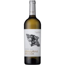 Mateus and Sequeira Vinhos S.A.|Vins Portugal 