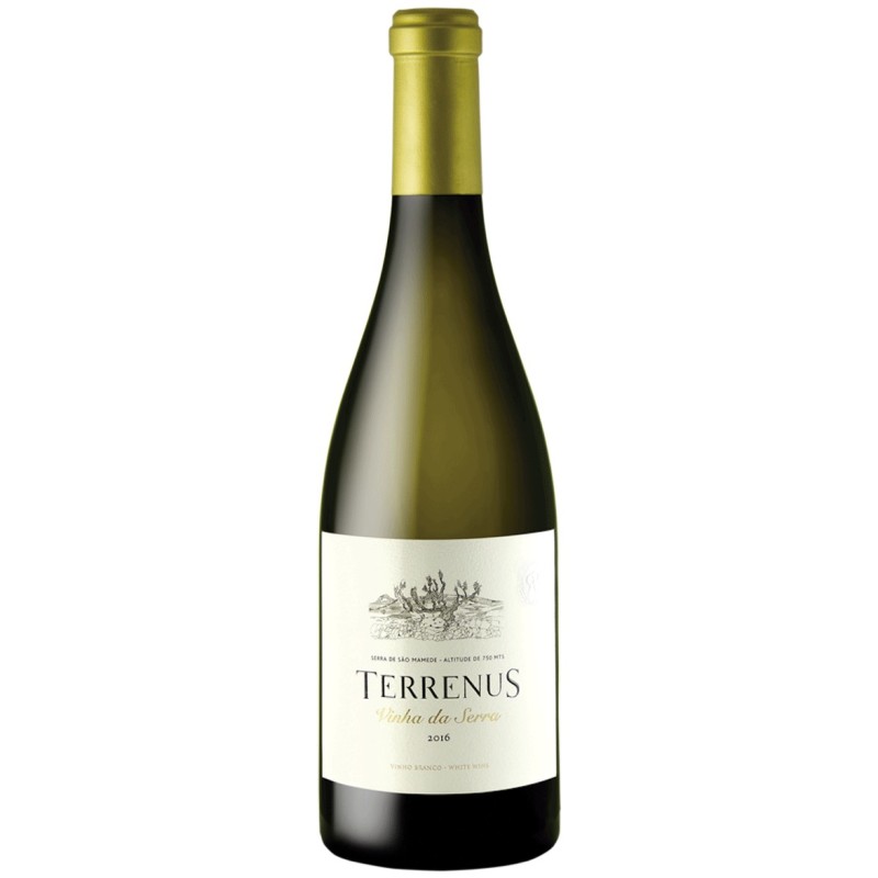 Terrenus Vinha da Serra 2021 Vin blanc