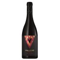 Vallegre Reserva 2022 Vin rouge