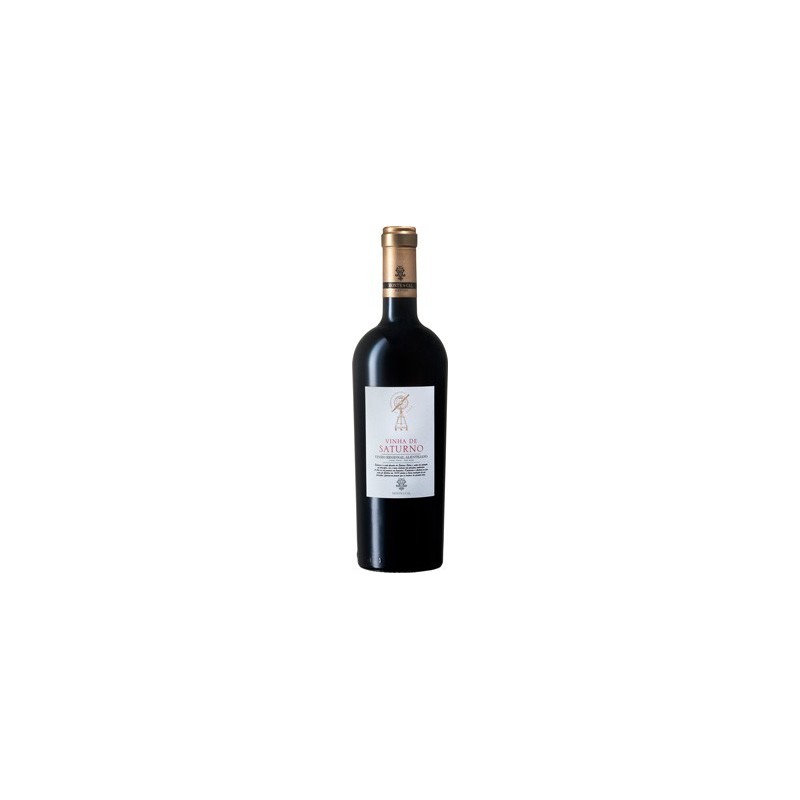 Saturno Reserva 2018 Vin Rouge