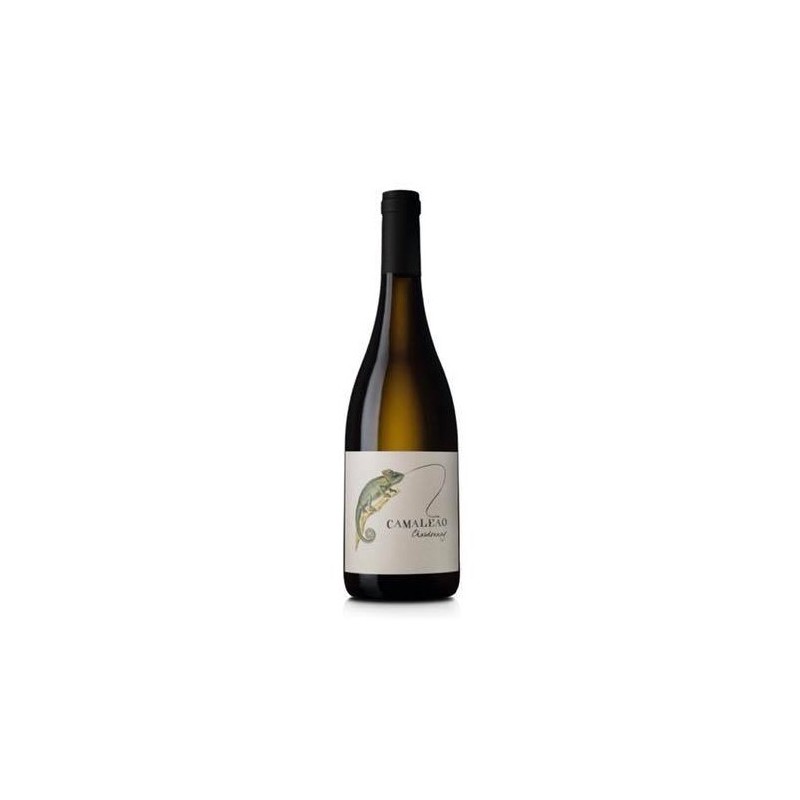 Camaleão Chardonnay 2016 Vin Blanc