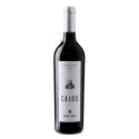 Caios 2011 Vin Rouge