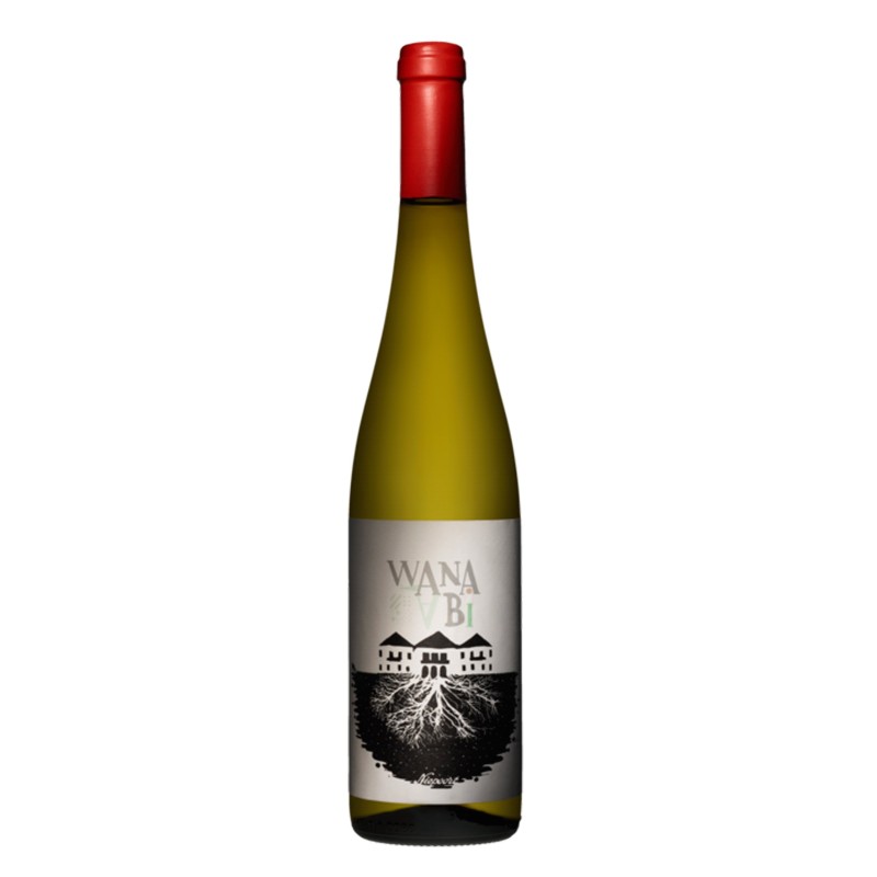 Niepoort Wana Bi Alvarinho 2017 Vin Blanc|Vins Portugal 