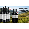 Promotion Vin Rouge Quinta de Valbom Vin Rouge Herdade dos Grous