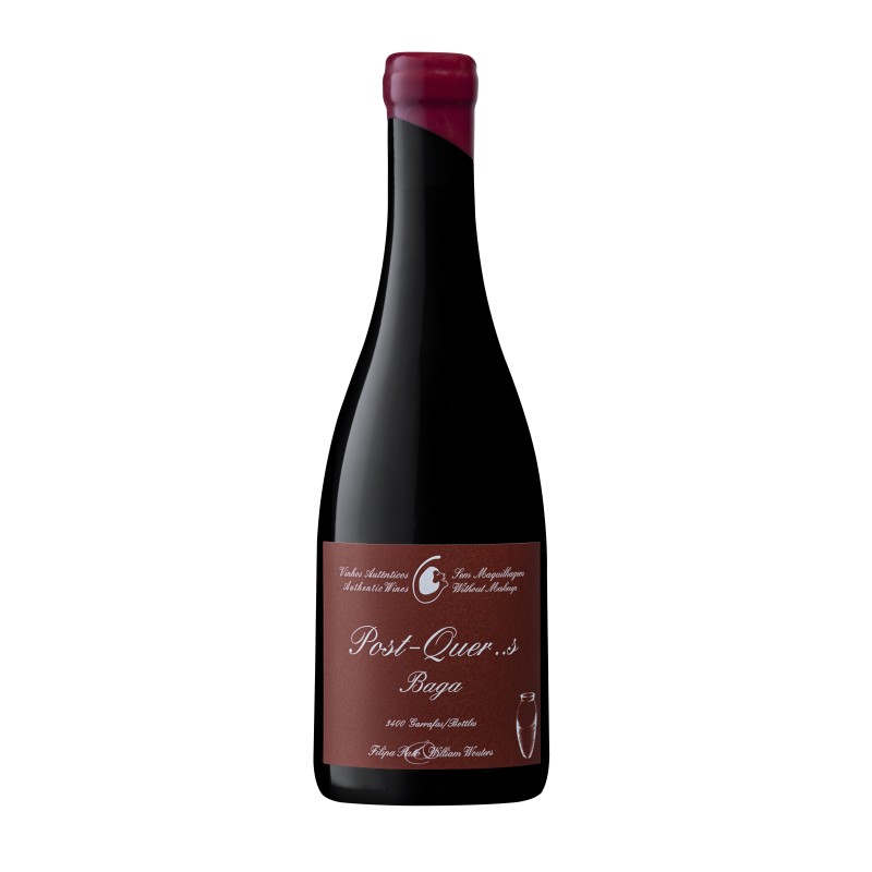 Filipa Pato Post Quercus 2016 Vin rouge (500ml)|Vins Portugal 