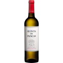 Quinta de Pancas 2020 Vin Blanc