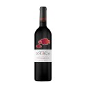 Quinta das Corriças Tinta Amarela 2016Vin rouge|Vins Portugal 