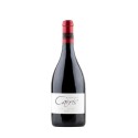 Socalcos da Carris Reserva 2017Vin rouge|Vins Portugal 