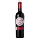 Teoria Grande Reserva Touriga Nacional 2020Vin rouge|Vins Portugal 