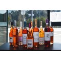 Pack Vin Rosé (Achetez 12 et Payez 10 Bouteilles)|Vins Portugal 