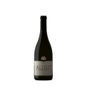 Allgo 2017 Vin Rouge|Vins Portugal 