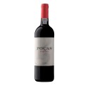 Poças Vin Rouge 2021|Vins Portugal 