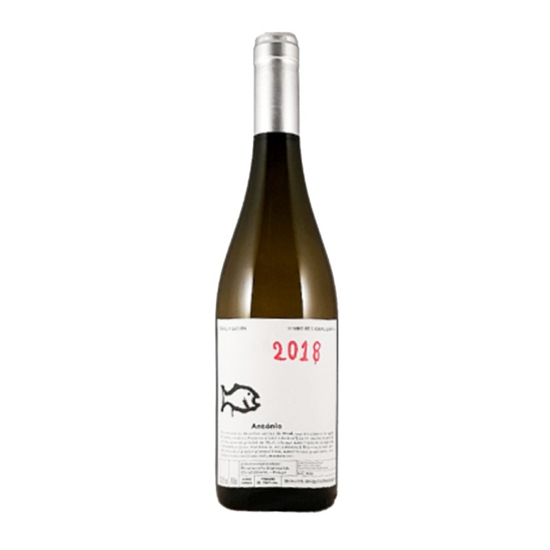 Casal Figueira António 2019 Vin blanc