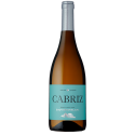 Cabriz Sauvignon Blanc 2021 Vin Blanc