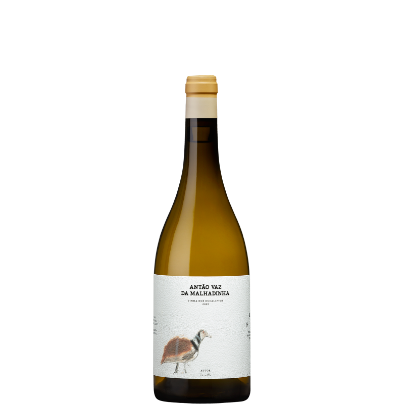 Antão Vaz da Malhadinha - Vinha dos Eucaliptos 2021 Vin Blanc