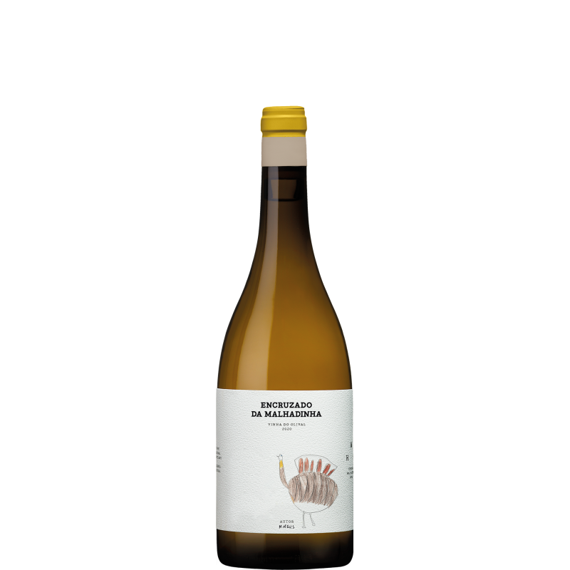 Encruzado da Malhadinha - Vinha da Olival 2020 Vin Blanc