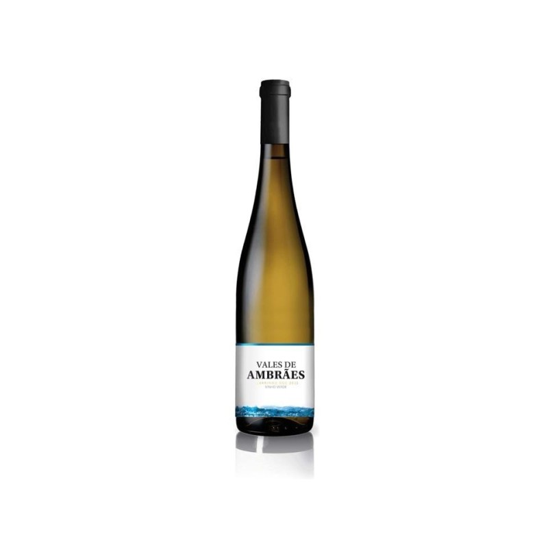 Vale de Ambrães Alvarinho 2015 Vin Blanc