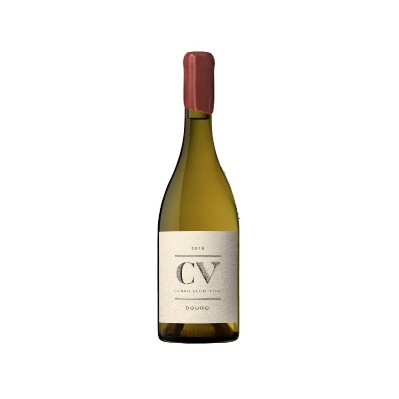 CV - Curriculum Vitae 2018 Vin Blanc