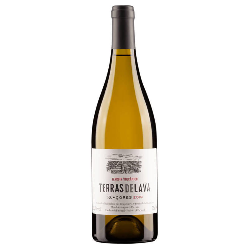 Pico Wines Terras de Lava 2022 Vin blanc