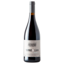 Pico Wines Terras De Lava Merlot 2017 Vin Rouge