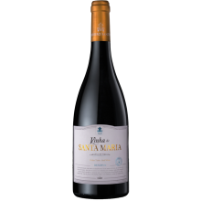 Magnum - Carlos Lucas Vinhos|Vins Portugal 