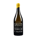 Caracol dos Profetas 2022 Vin Blanc