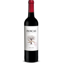 Pancas 2019 Vin Rouge