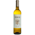 Pancas 2020 Vin Blanc