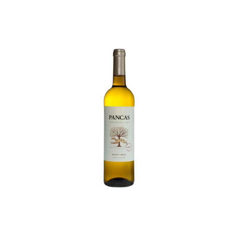 Pancas 2020 Vin Blanc