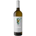 Vallegre Vin blanc Vegan 2020