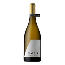 Falua - Sociedade de Vinho S.A.|Vins Portugal 