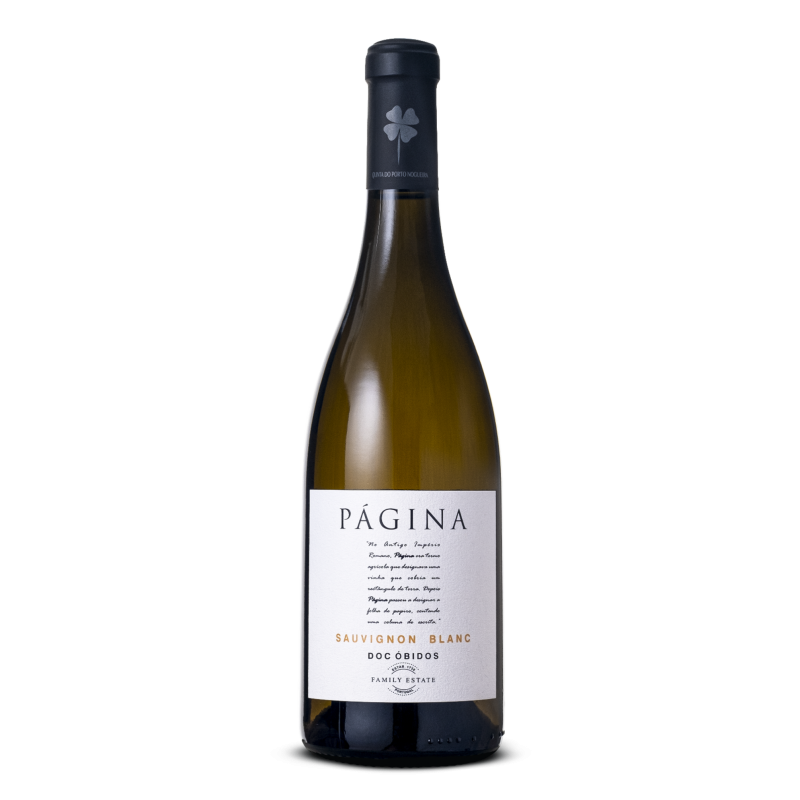 Pagina Sauvignon Blanc 2020Vin blanc