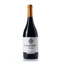 Caladessa Syrah 2020 Vin Rouge