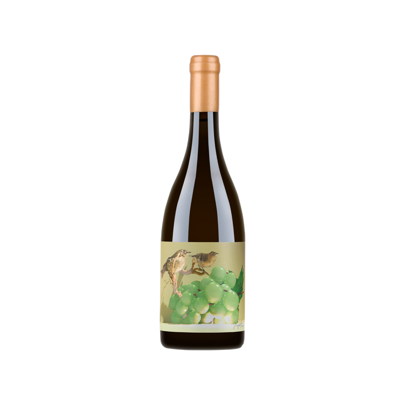 Soalheiro Alvorone 2020 Vin blanc