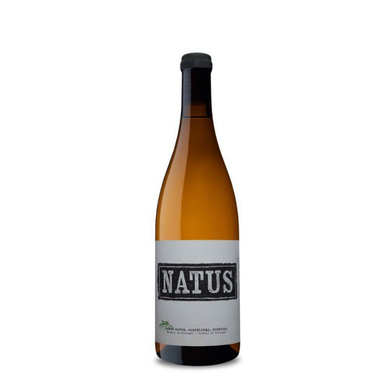 Natus 2022 Vin blanc