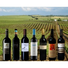 Vins de l'Alentejo|Vins Portugal 