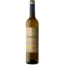 Quinta do Quetzal|Vins Portugal 