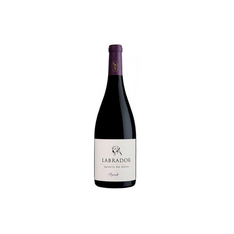 Labrador Syrah 2013 Vin Rouge