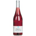 Quinta da Falorca 2018 Vin Rosé