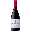 Vin Rouge Ribeiro Santo 2022