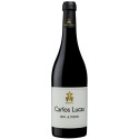 Ribeiro Santo Carlos Lucas 20 Anos 2012 Vin Rouge