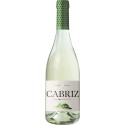 Cabriz Colheita Seleccionada 2022 Vin Blanc