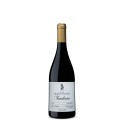 Horácio Simões Tradição Castelão 2021 Vin Rouge|Vins Portugal 