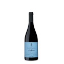 Horácio Simões 2021 Vin Rouge|Vins Portugal 