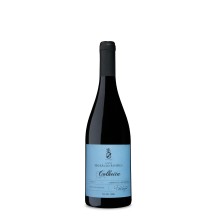 Vins de Setubal|Vins Portugal 