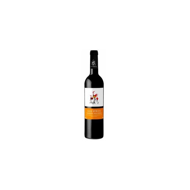 Ciconia 2021 Vin Rouge|Vins Portugal 